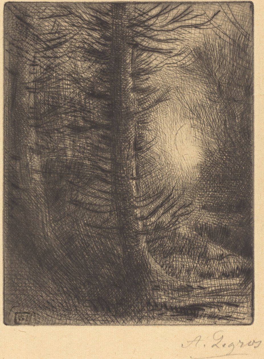Woods in Winter Sun, 1. levy tekijältä Alphonse Legros