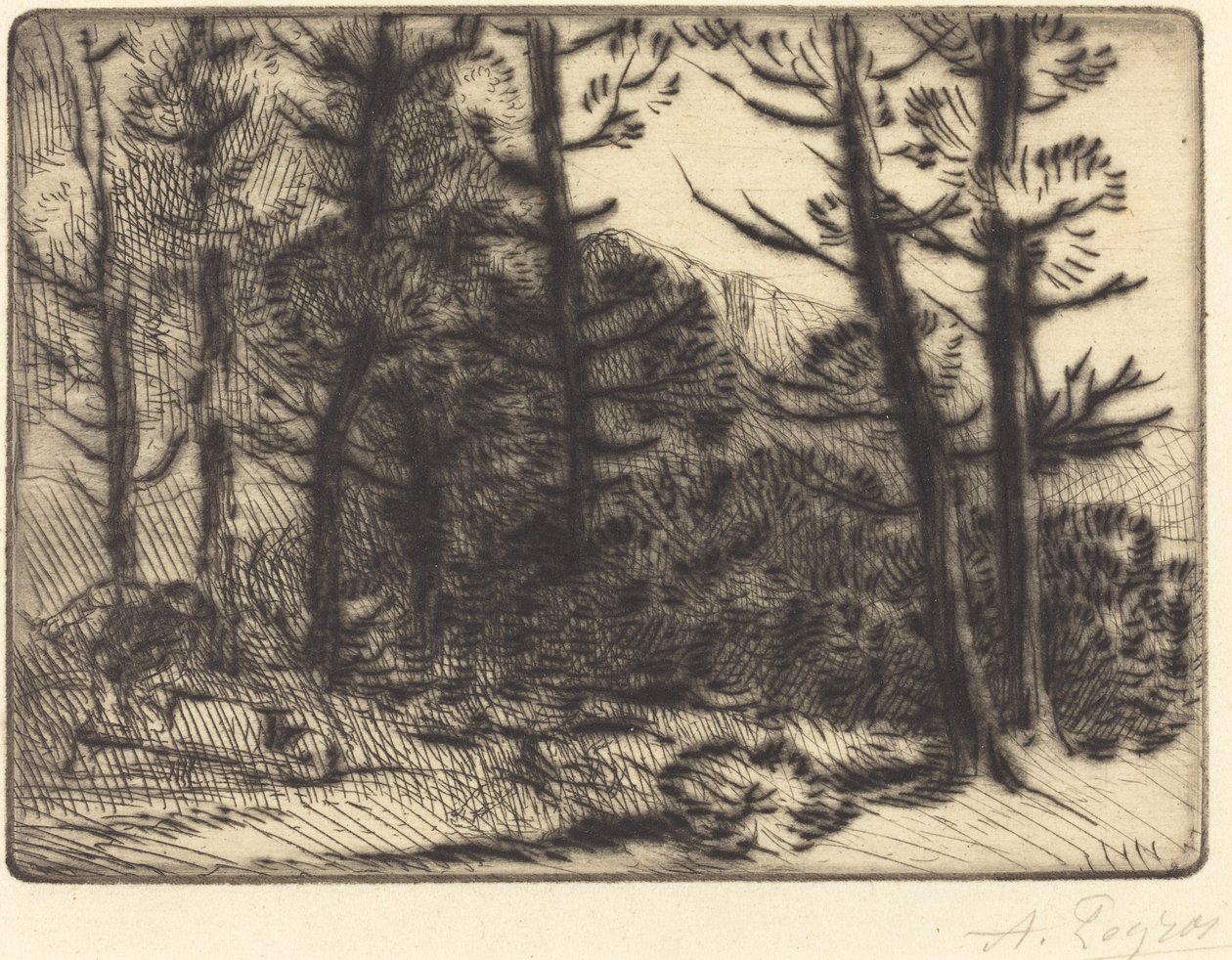 Woods in Winter Sun, 2. levy tekijältä Alphonse Legros