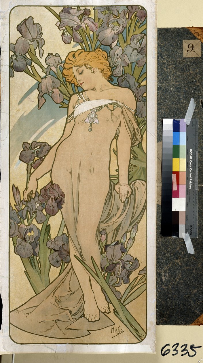 Iris (osa kukkasarjaa). Taideteos: Alfons Maria Mucha (Alphonse Marie Mucha tekijältä Alphonse Marie Mucha