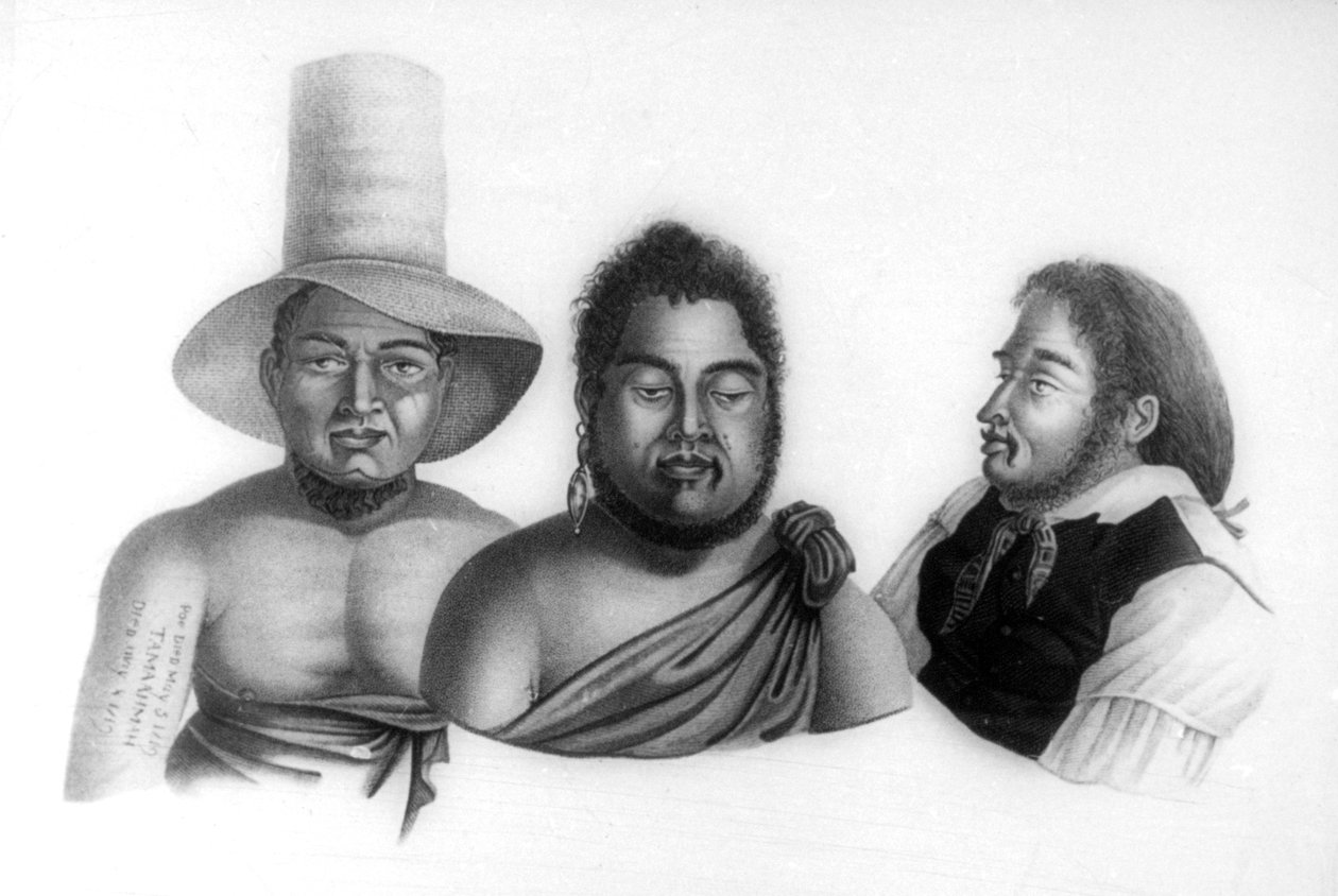 Sandwichsaarten päälliköiden muotokuvia, 1819. tekijältä Alphonse Pellion