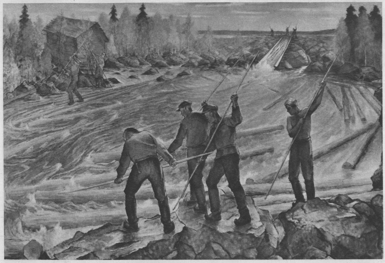 Holzflosser. Beschreibung lt. QuellenEnglish: Suomeen kelluva puu tekijältä Alvar Cawén