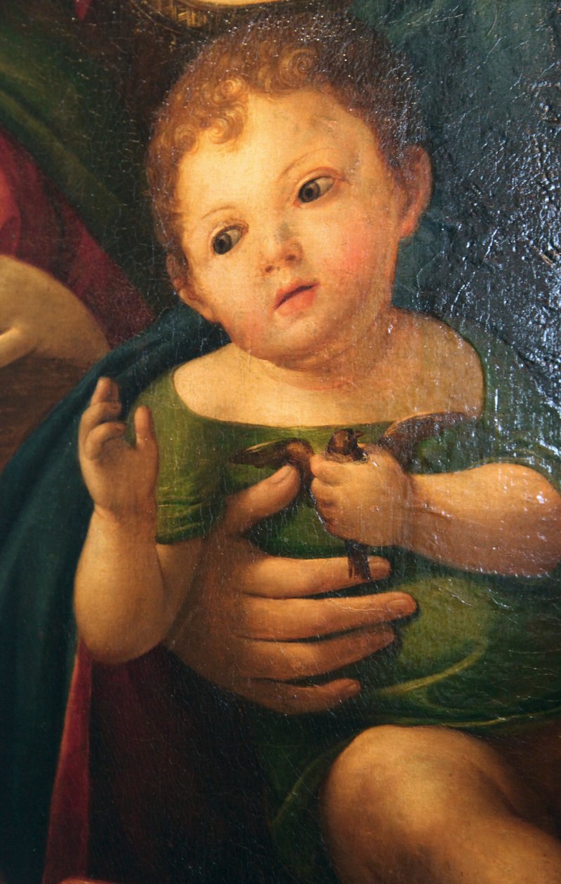 Yksityiskohta "Madonna ja lapsi Maria Magdaleenan, Pyhän Katariinan ja kahden pyhän kanssa", 1504 tekijältä Alvise Vivarini