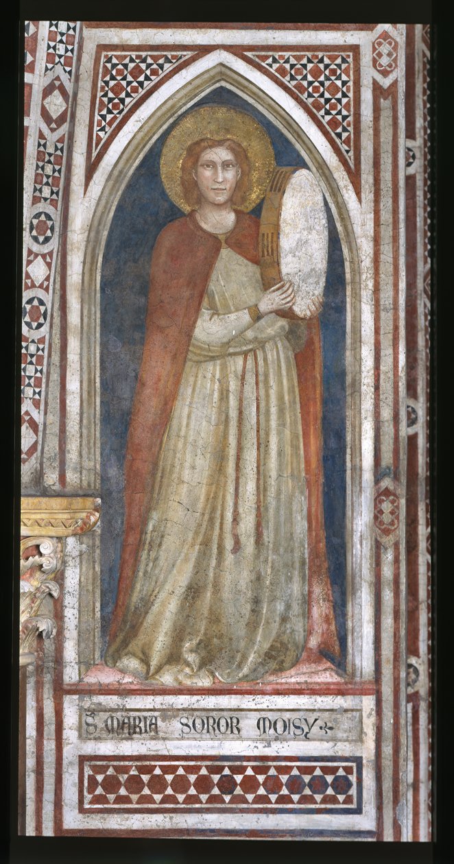 Magadalenan kappeli, pohjoinen seinä: "Miriam, Mooseksen sisar" tekijältä Ambrogio Bondone (workshop) Giotto