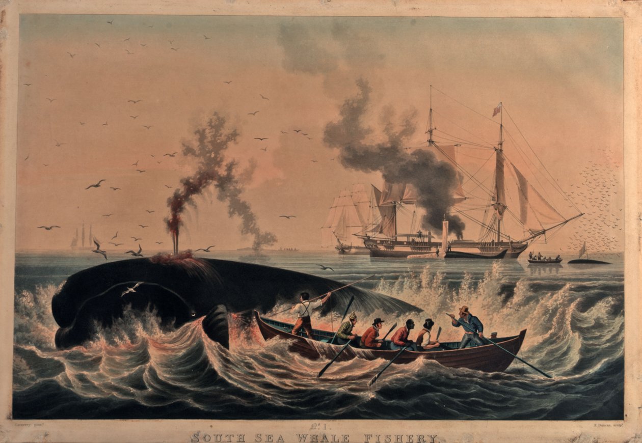 Etelämeren valaanpyynti tekijältä Ambroise Louis (after) Garneray