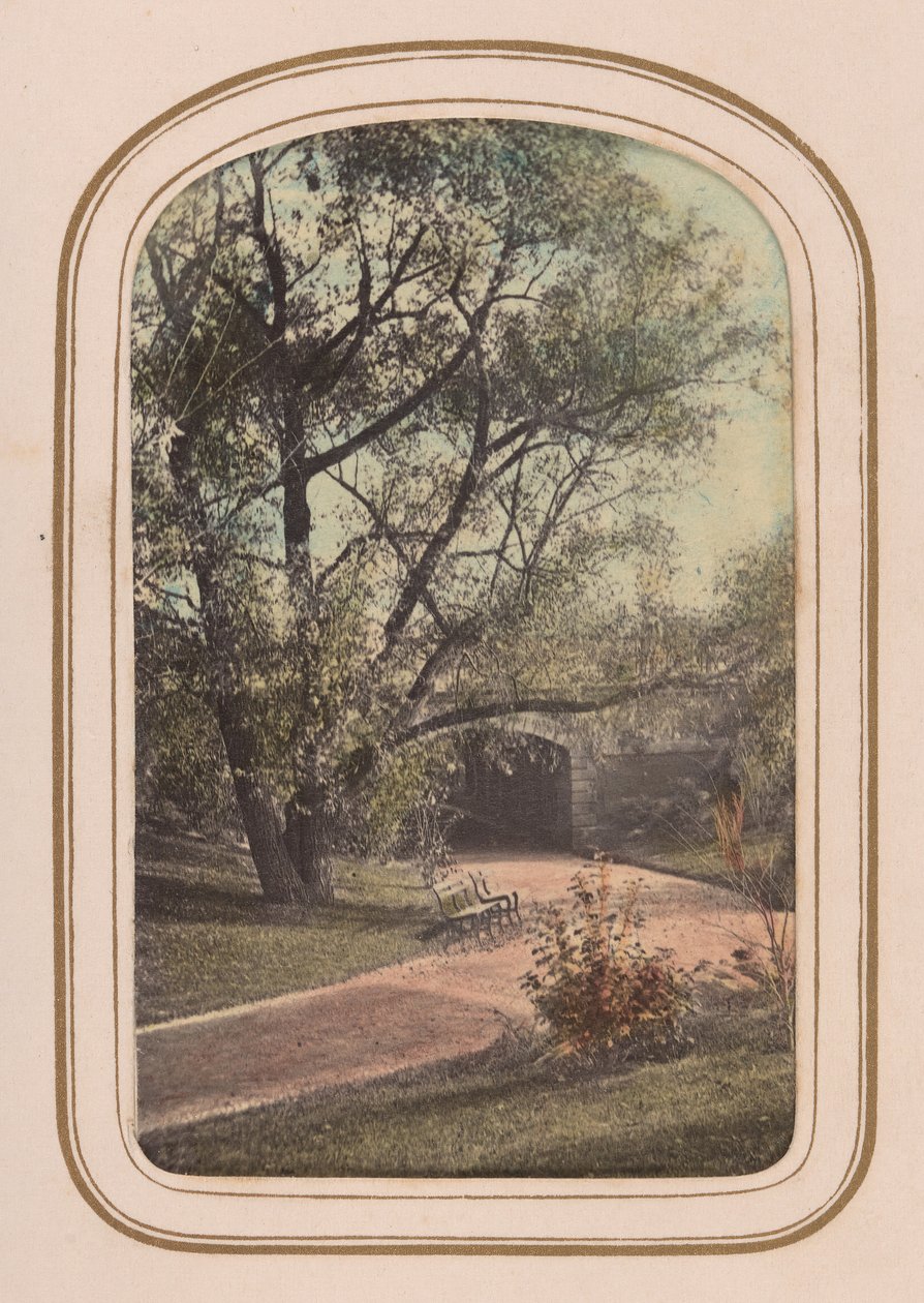 Carte-de-visite -albumi Central Park Viewsista, 1860-luku. tekijältä Ambrose Jackson