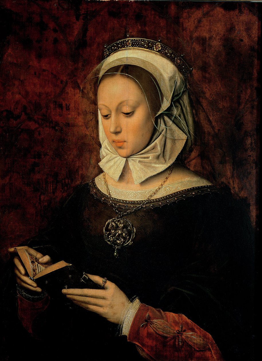 Nuori nainen lukee tuntikirjaa tekijältä Ambrosius Benson
