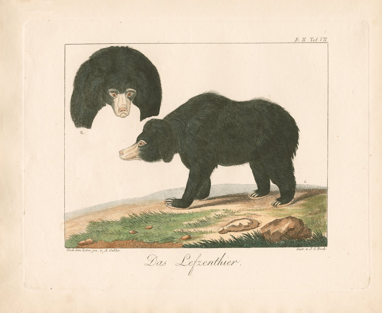  tekijältä Ambrosius Gabler