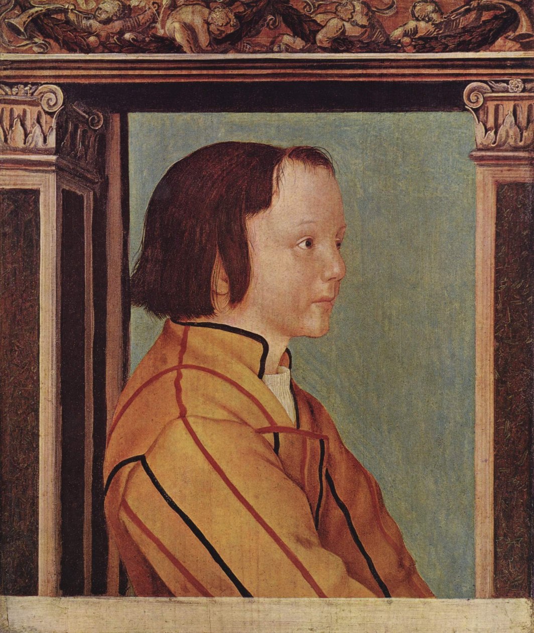 Poika jolla on ruskeat hiukset tekijältä Ambrosius Holbein