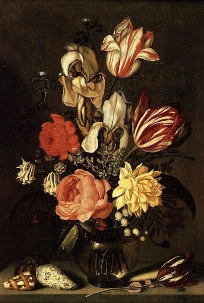 Sekakukkia reunalla kuorien ja kärpäsen kanssa tekijältä Ambrosius the Younger Bosschaert