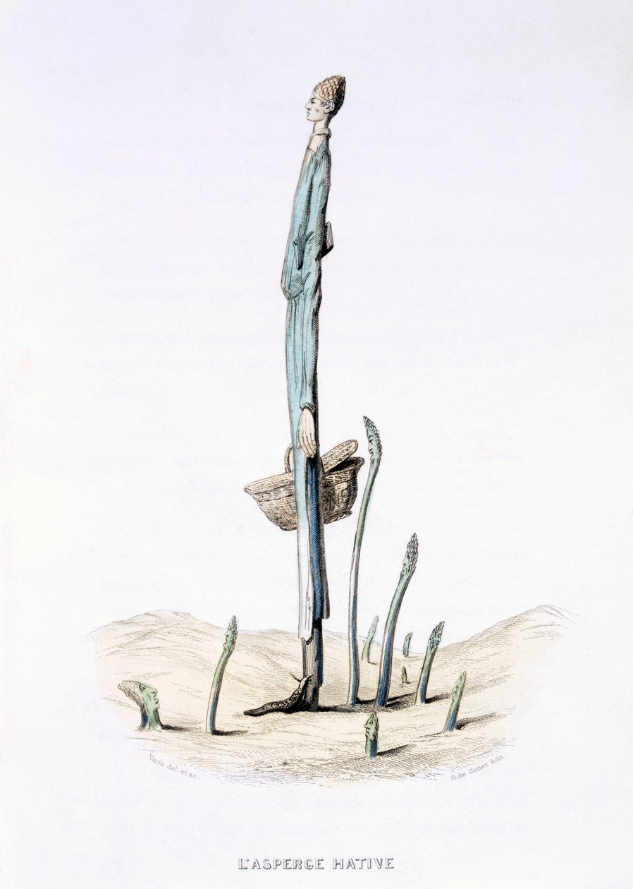 The Hasty Asparagus, Eugene Nusin ja Meray Antoinen teoksesta "L