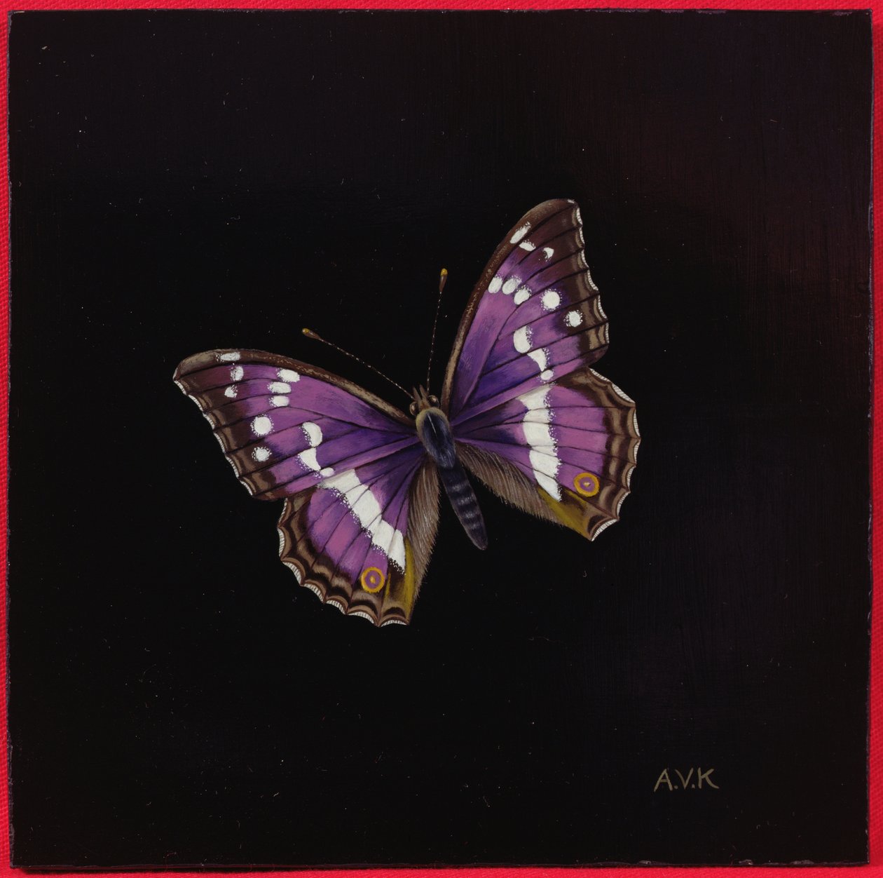 Violetti keisariperhonen, 2000 tekijältä Amelia Kleiser