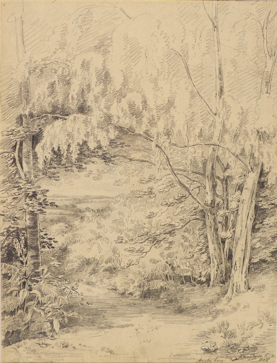 Bromley Hill tekijältä Amelia Long