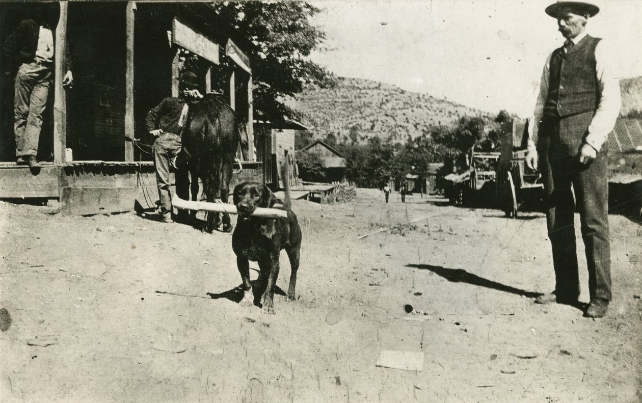 Butch Cassidy (1886-1908) tekijältä American Photographer