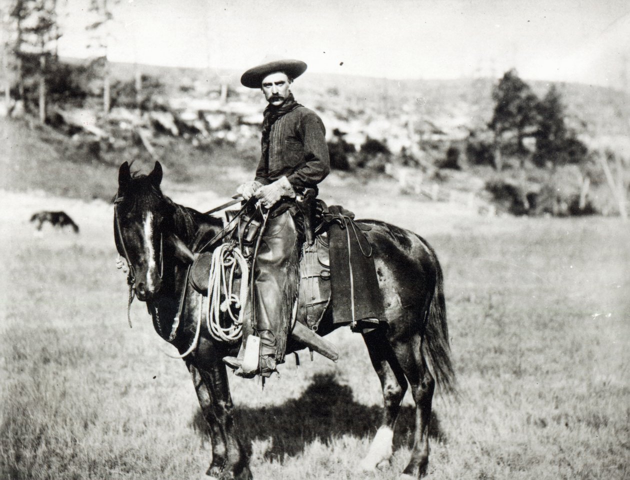 Cowboy ratsastaa hevosella Montanassa, Yhdysvalloissa, n. 1880 tekijältä American Photographer