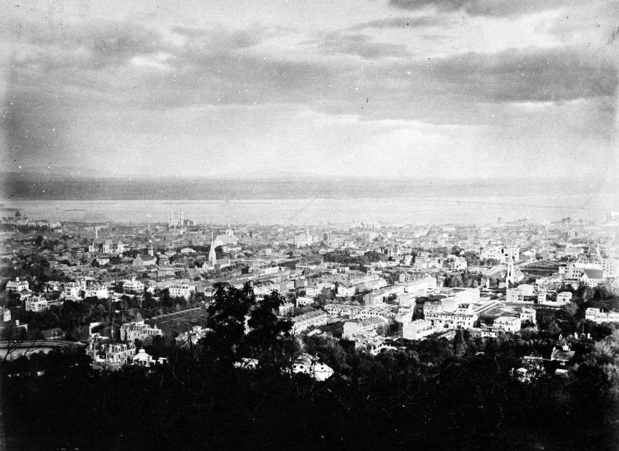 Näkymä Montrealiin Mount Royal Parkista, n. 1860-1890 tekijältä American Photographer