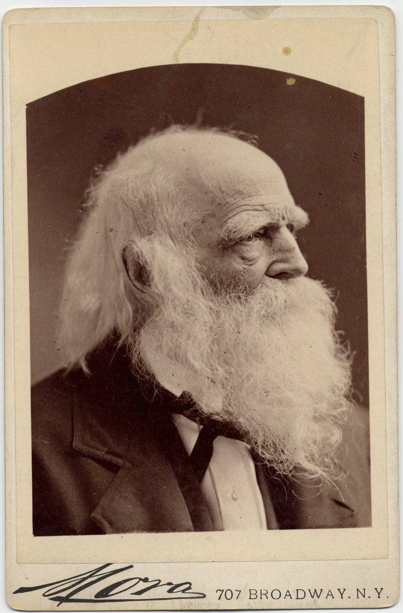 William Cullen Bryant (1794-1878), yhdysvaltalainen runoilija, kuva Albert J Mora, New York (albumikuva) tekijältä American Photographer