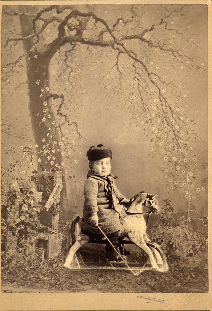 Nuori poika istuu keinuhevosella suurella maalatulla taustalla, 1880 (albumiprintti) tekijältä American Photographer