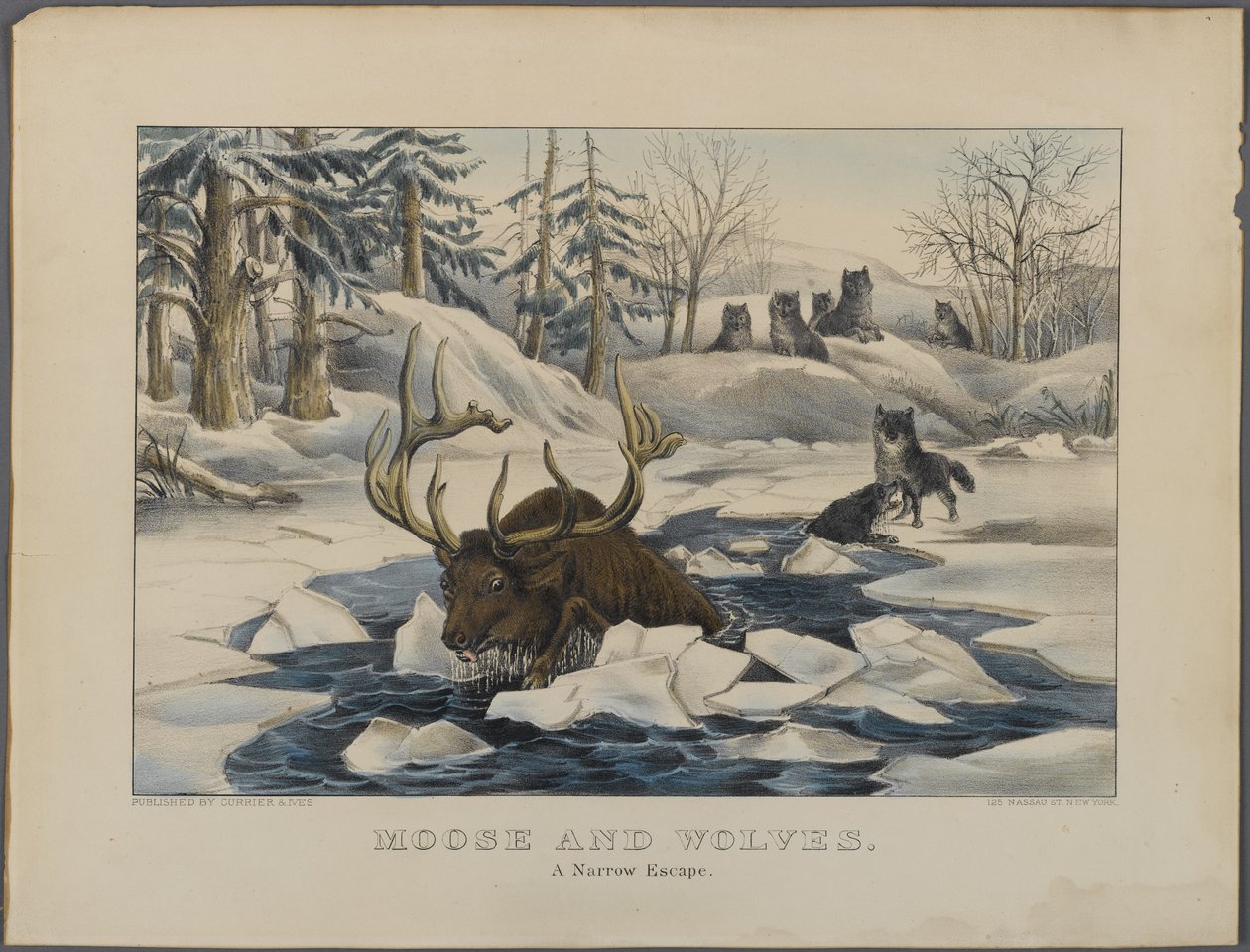 Moose and Wolves, A Narrow Escape, julkaisija Currier & Ives, New York (käsinvärinen lito) tekijältä American School