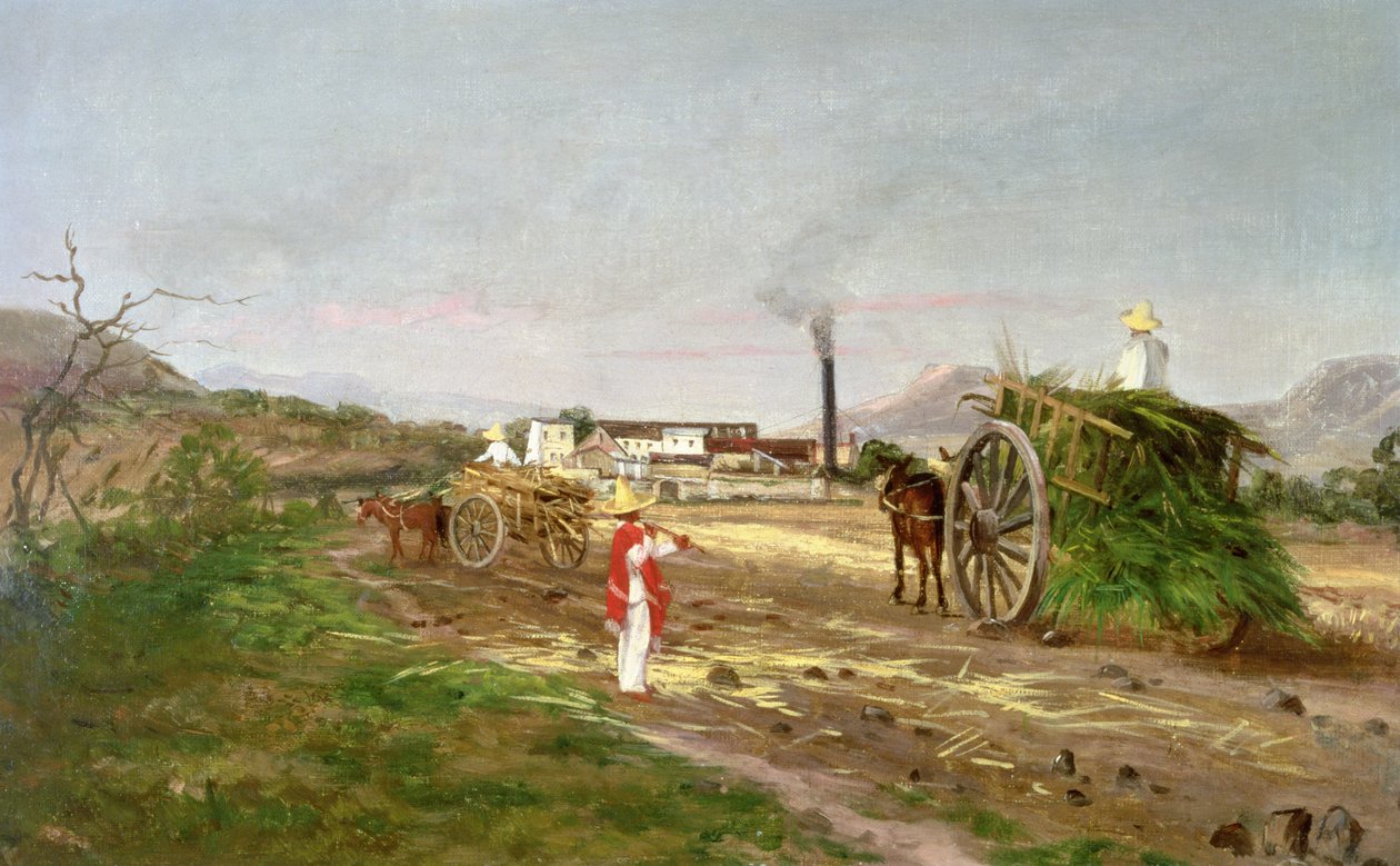 Talonpojat keräävät sokeriruokoa, Keski-Amerikka, n. 1840 tekijältä American School