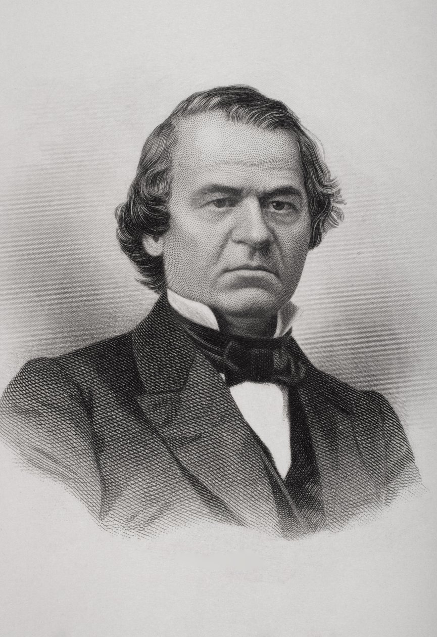 Andrew Johnsonin (1808-75) muotokuva tekijältä American School