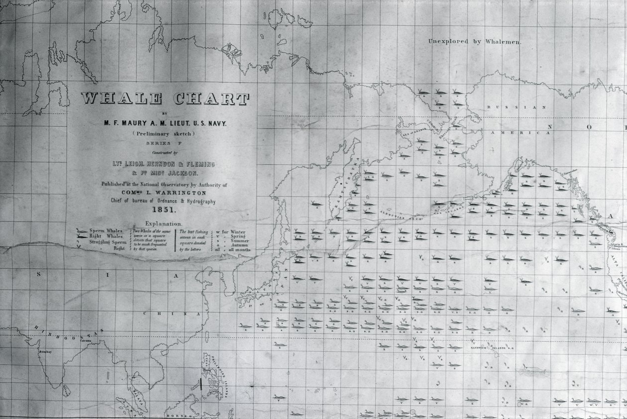 Pohjoisen Tyynenmeren valaskartta, 1851 tekijältä American School