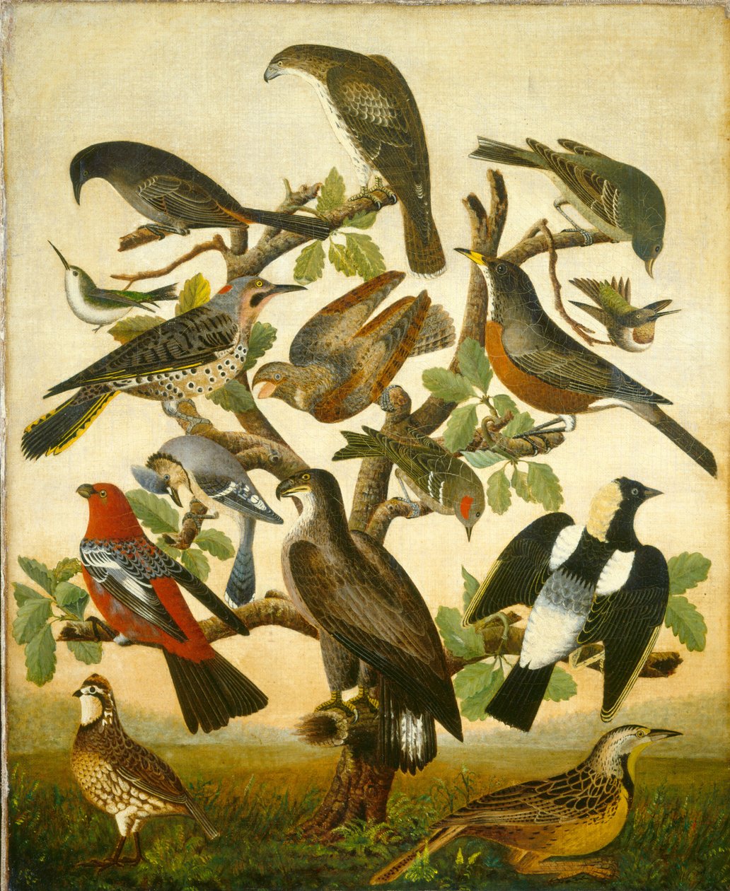 Linnut tekijältä American 19th Century