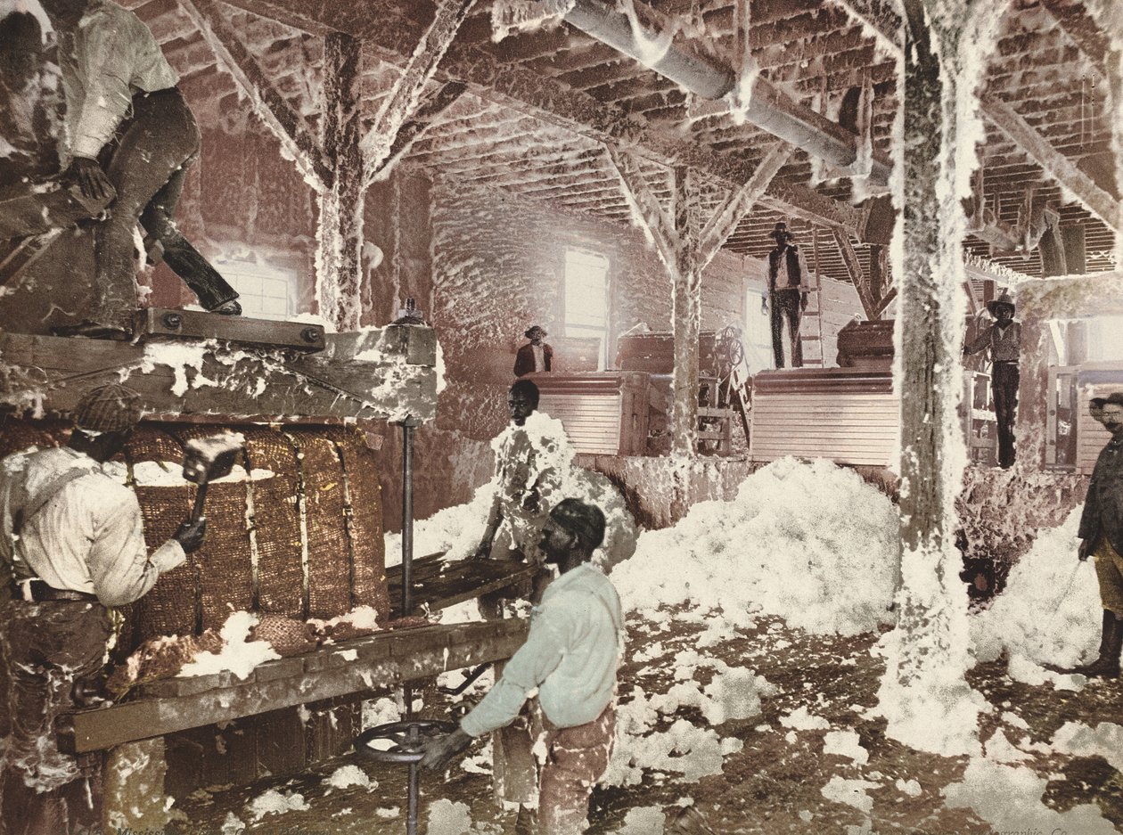Mississippi Cotton Gin Dahomeyssa tekijältä American 19th Century, Detroit Photographic Company
