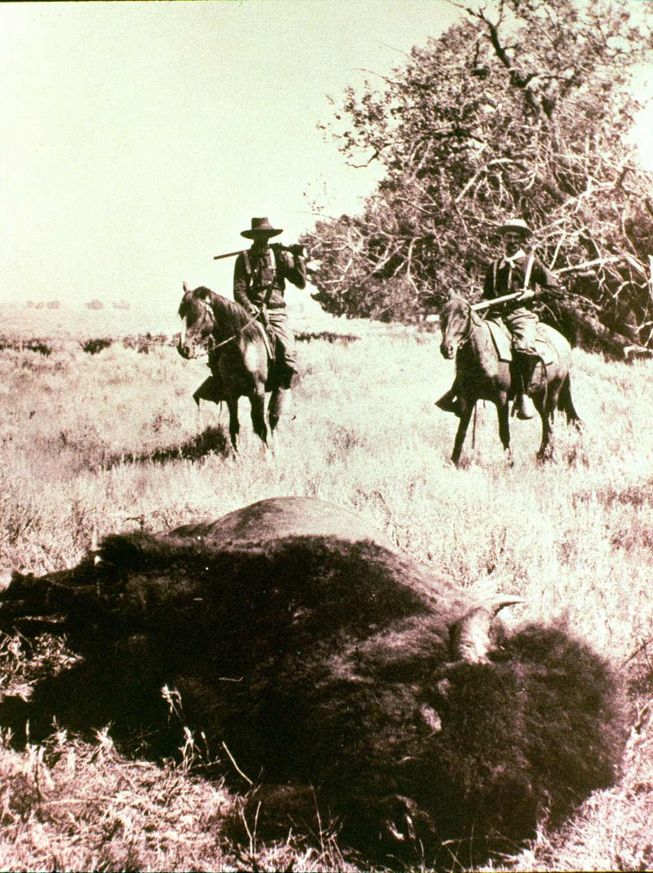 American Bison Hunters tekijältä American Photographer