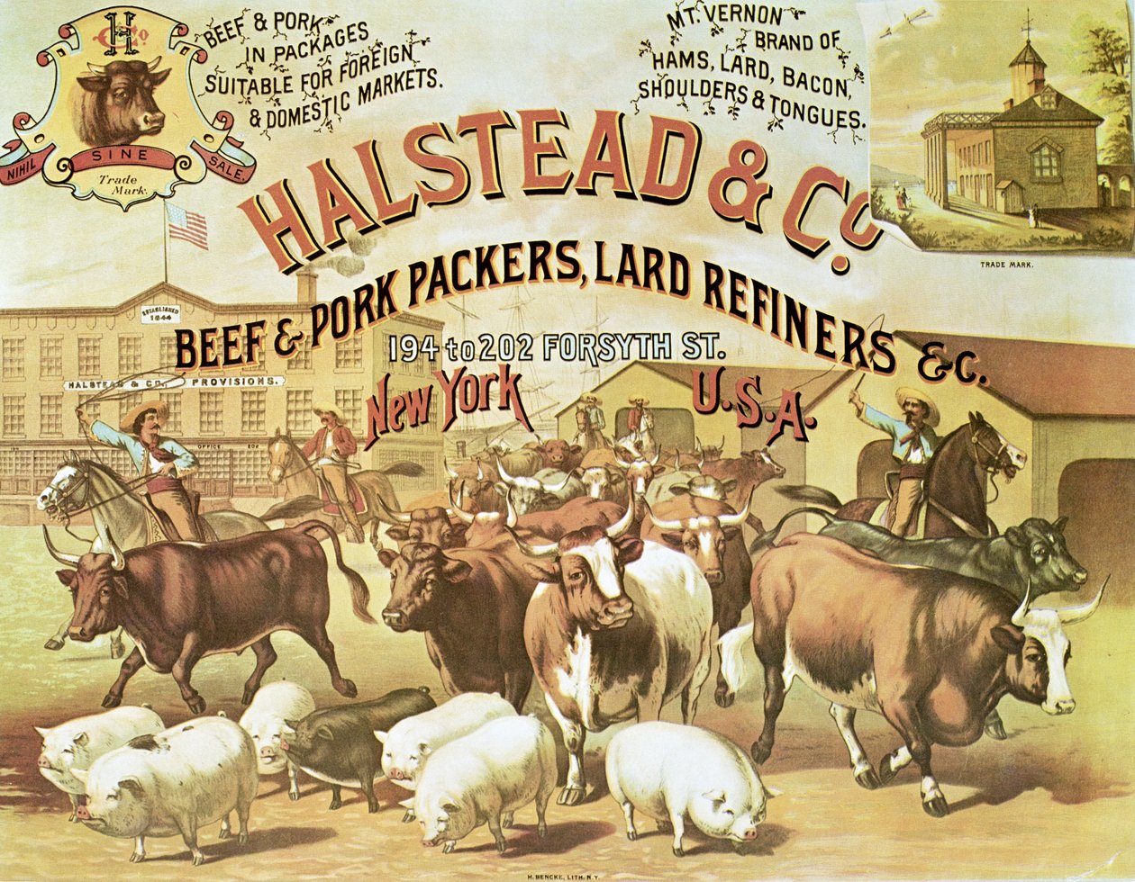 Beef & Pork Packers, n. 1880 (väri litho) tekijältä American Photographer