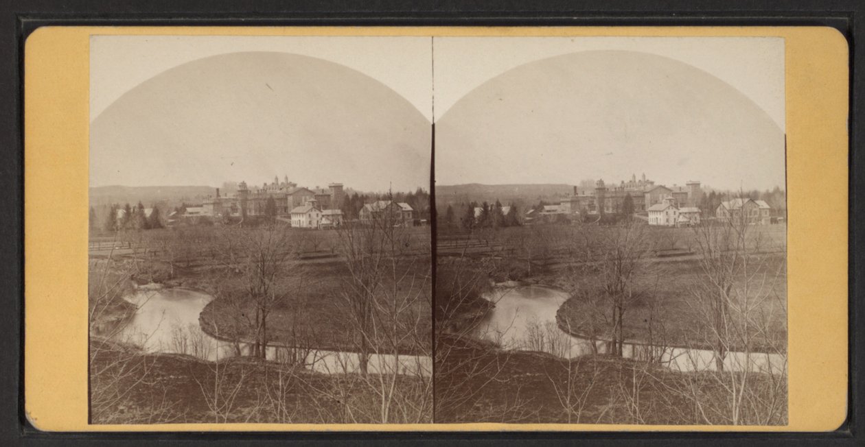 Lintuperspektiivistä kotirakennuksiin, n. 1870 (mv/w kuva) tekijältä American Photographer