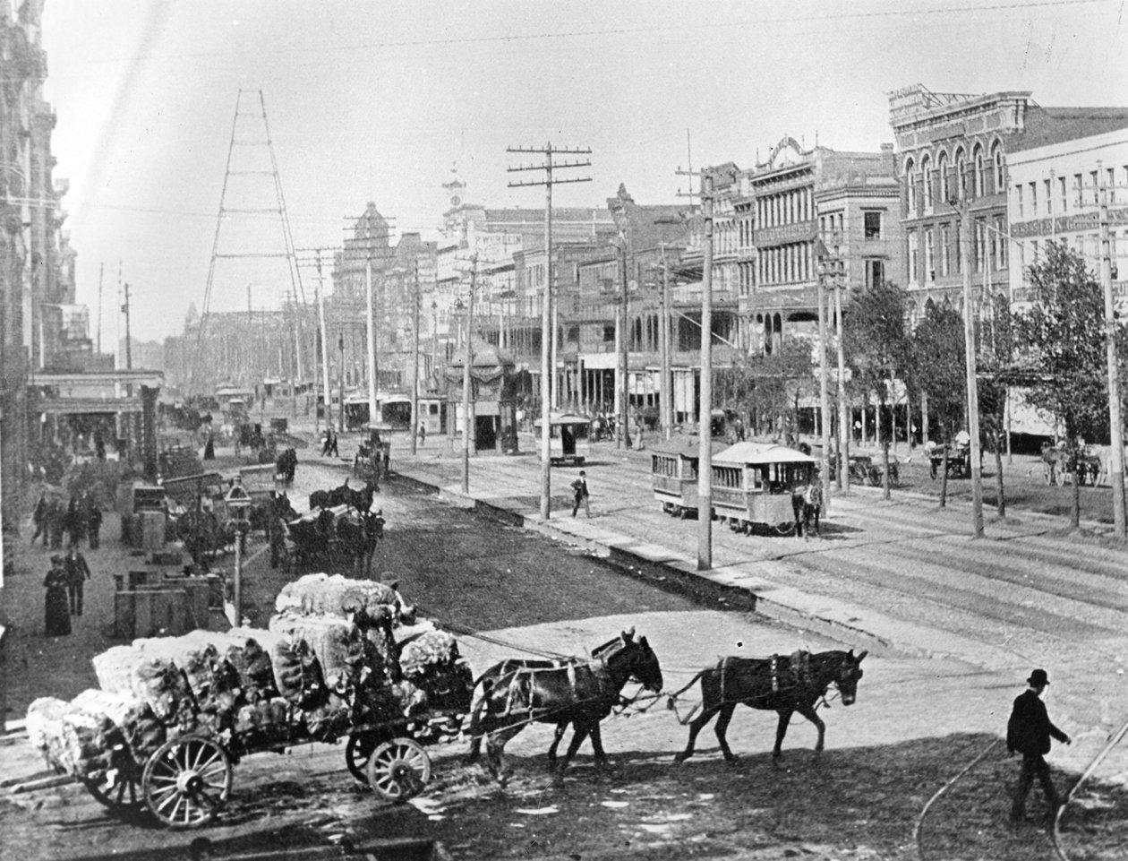 Canal Street, New Orleans, Louisiana, n. 1890 (b/w valokuva) tekijältä American Photographer