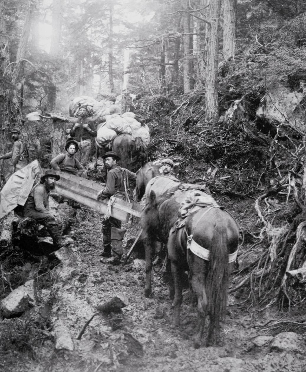 Dyea-reitin kiipeäminen matkalla Chilkoot Passiin Klondiken kultakuumeen aikana (1897-1898) (m/v kuva) tekijältä American Photographer