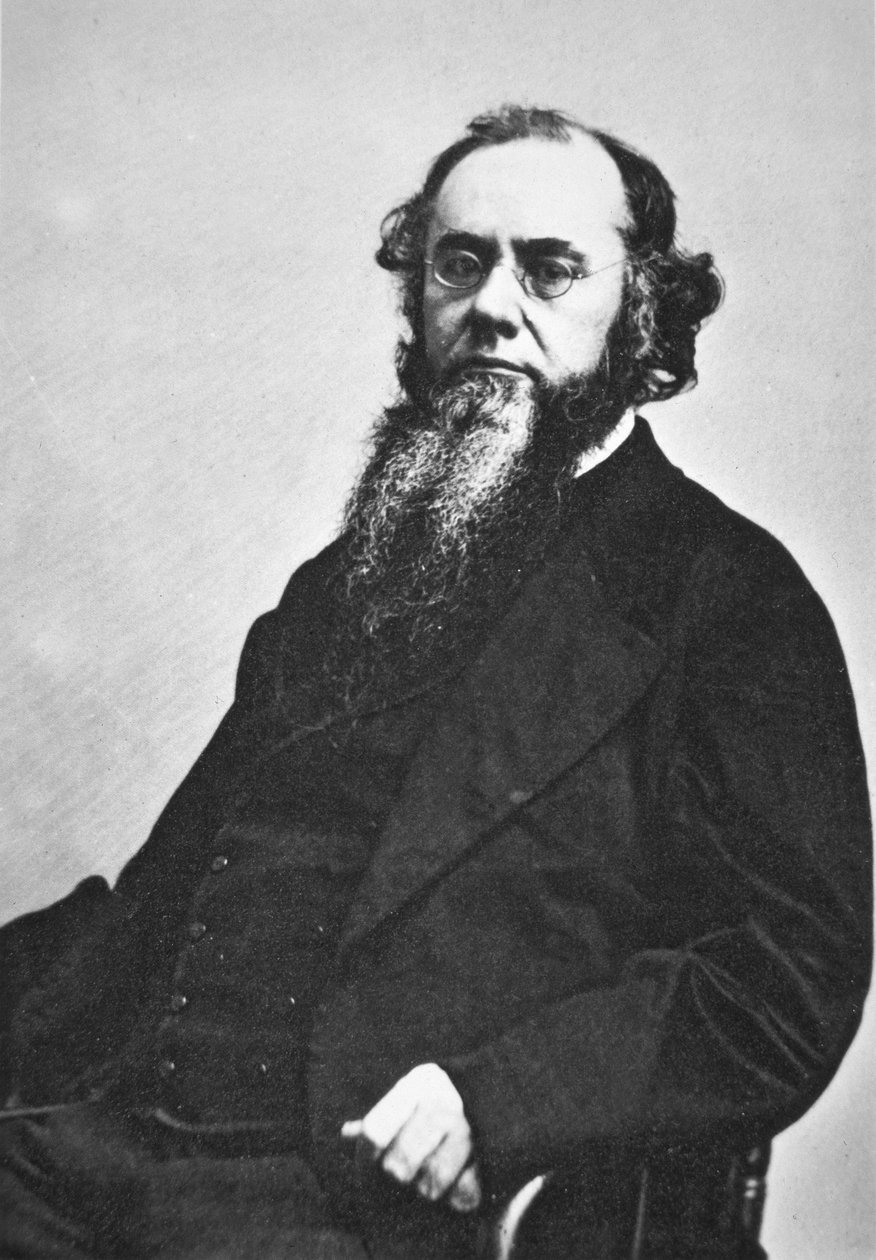 Edwin M. Stanton (1814-69) (m/w valokuva) tekijältä American Photographer