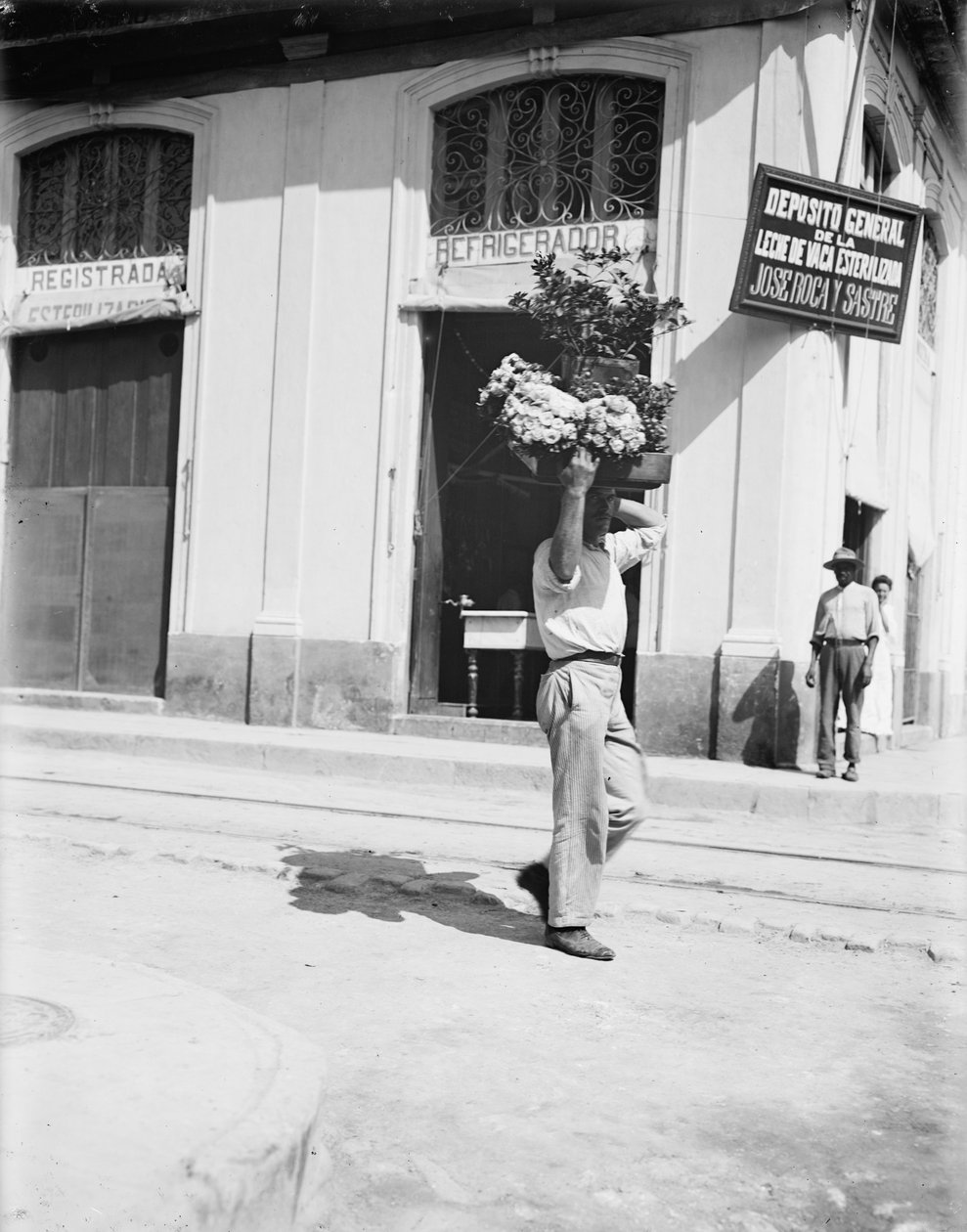 Kukat tekijältä American Photographer