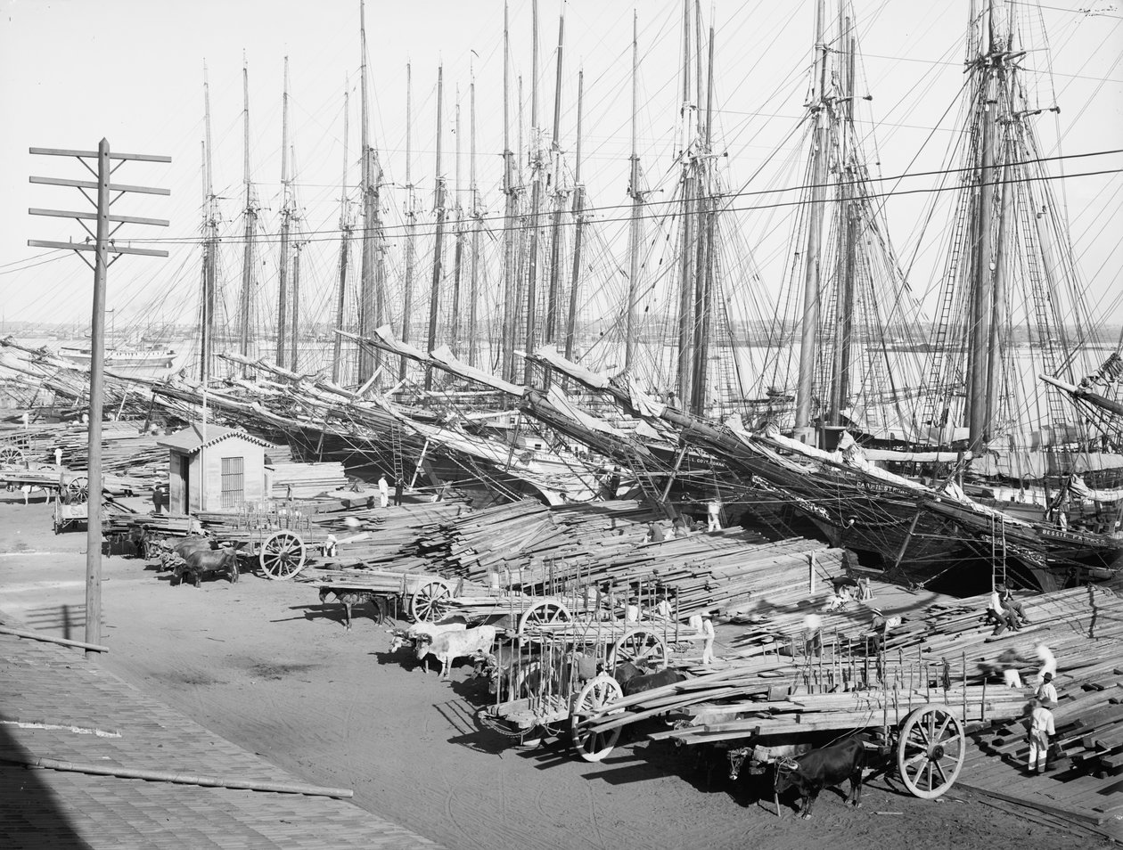 Muelle Tallapiedras, Havanna, n. 1904 (m/v kuva) tekijältä American Photographer