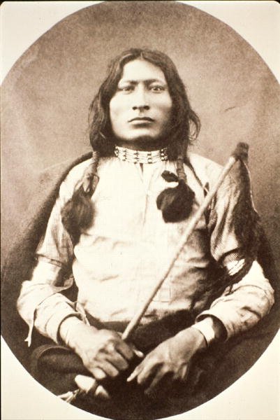 Yksi härkä tekijältä American Photographer