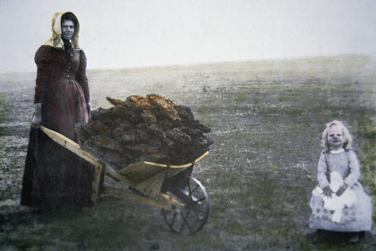 Pioneerinainen kerää karjan lantaa, Kansas, n. 1880 (värillinen kuva) tekijältä American Photographer