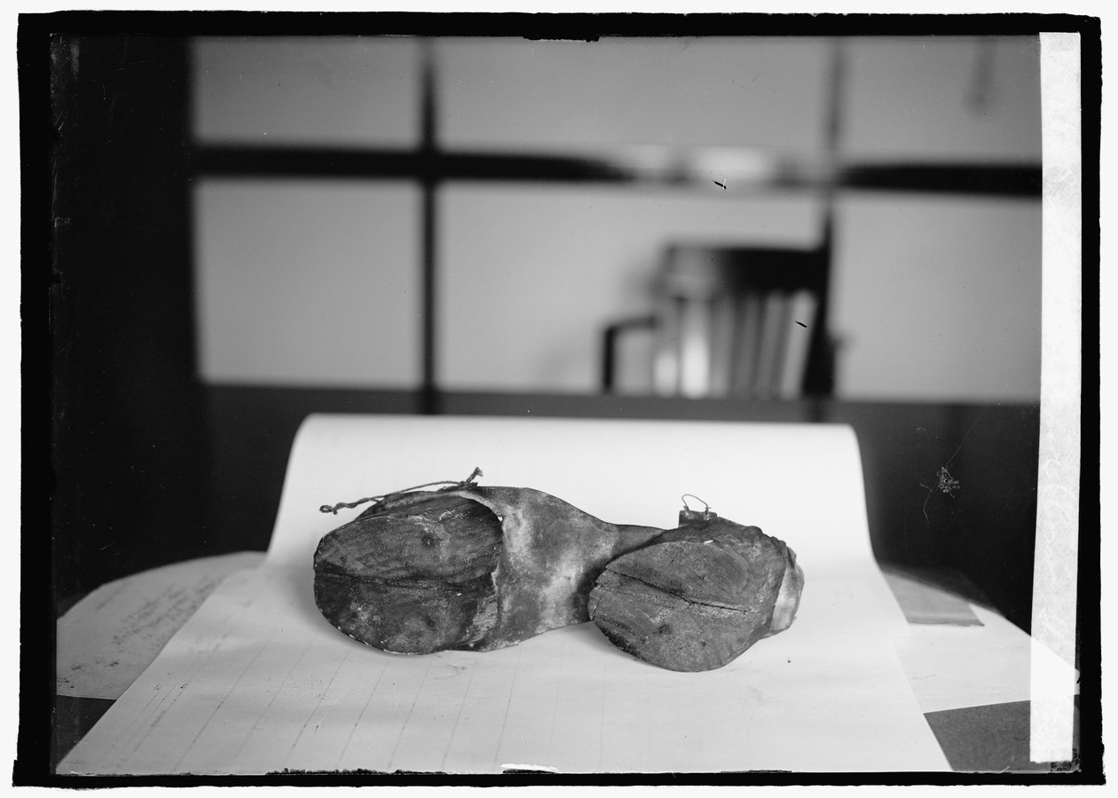 Kieltoyksikkö (Cow Shoes), 28. kesäkuuta 1924 (m/v kuva) tekijältä American Photographer