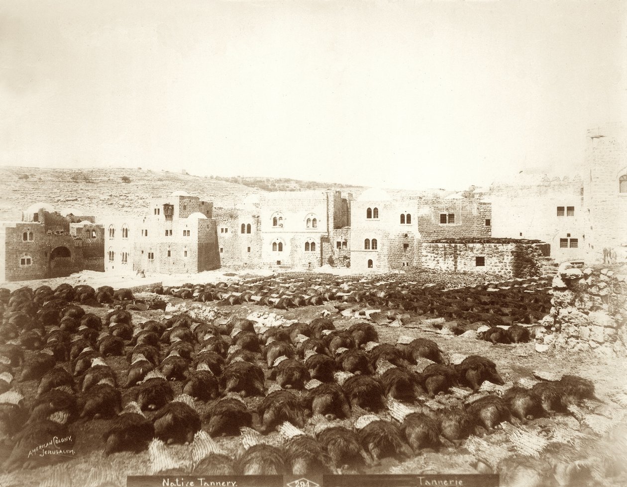 Nahkatehdas Hebronissa, jossa vuodat on asetettu etualalla, 1898-1911 tekijältä American Photographer