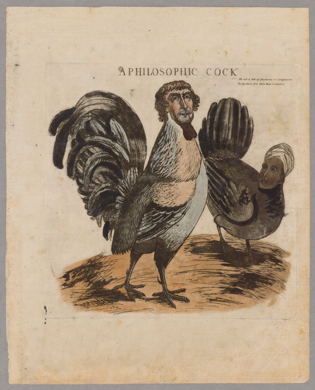 Filosofinen kukko, 1804 tekijältä American School