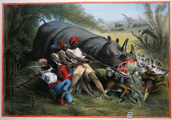 Sarvikuonon metsästys (chromolitho) tekijältä American School