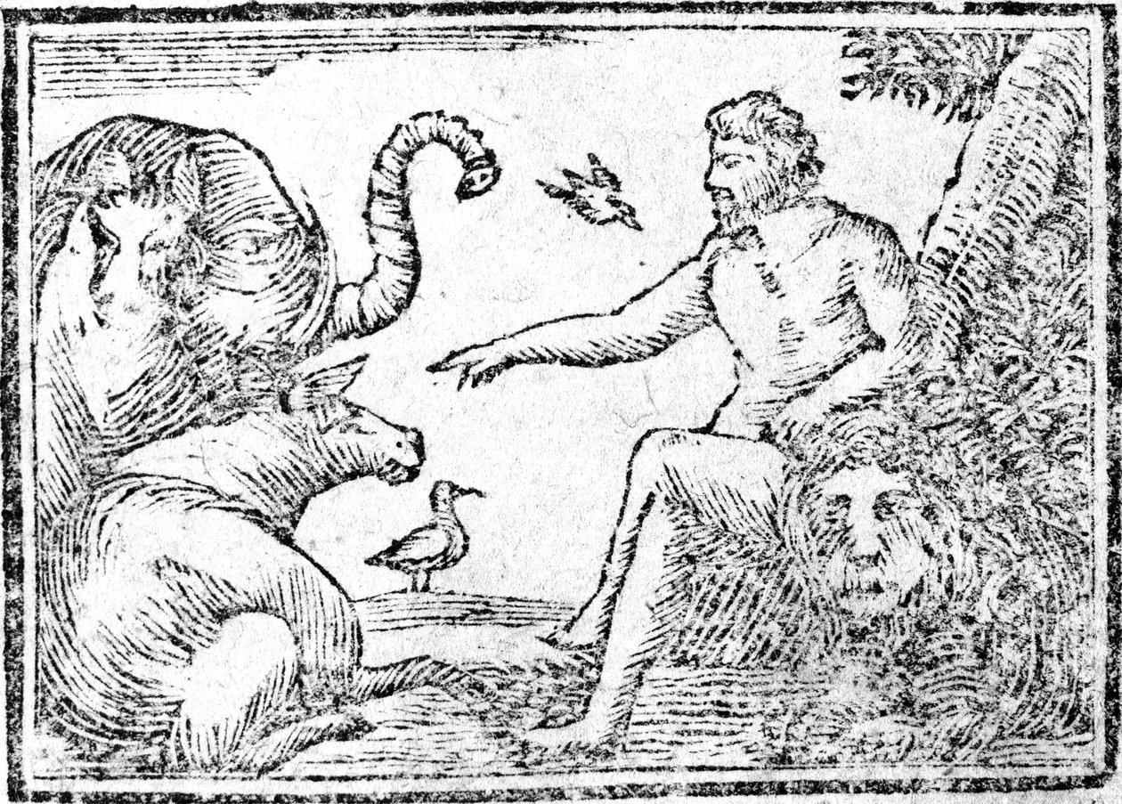 Adam nimeää eläimiä, esimerkki teoksesta An Abridgement of the History of the Holy Bible, julkaistu 1794 tekijältä American School