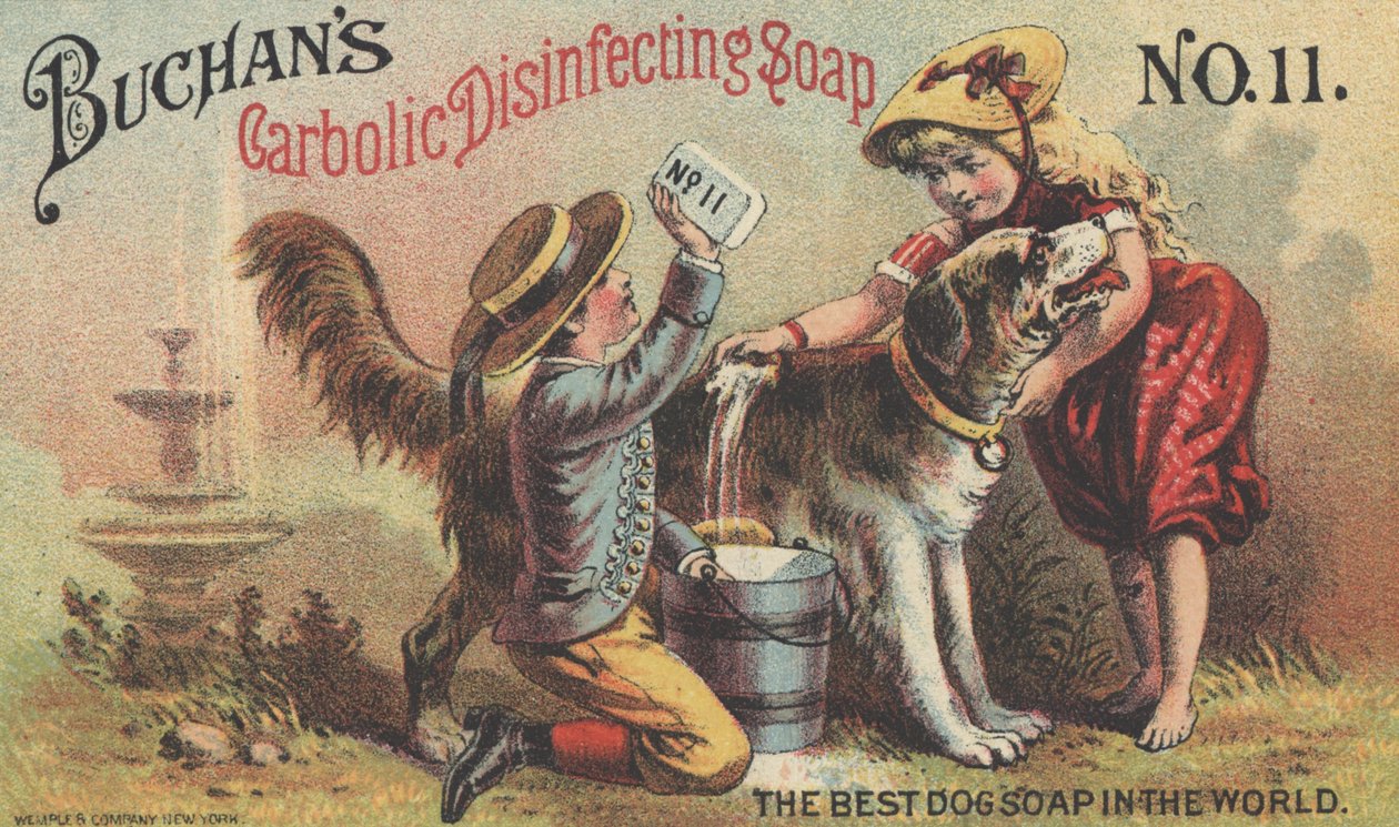 Mainos Buchans Carbolic Desinfioivalle saippualle nro 11, n. 1880 tekijältä American School