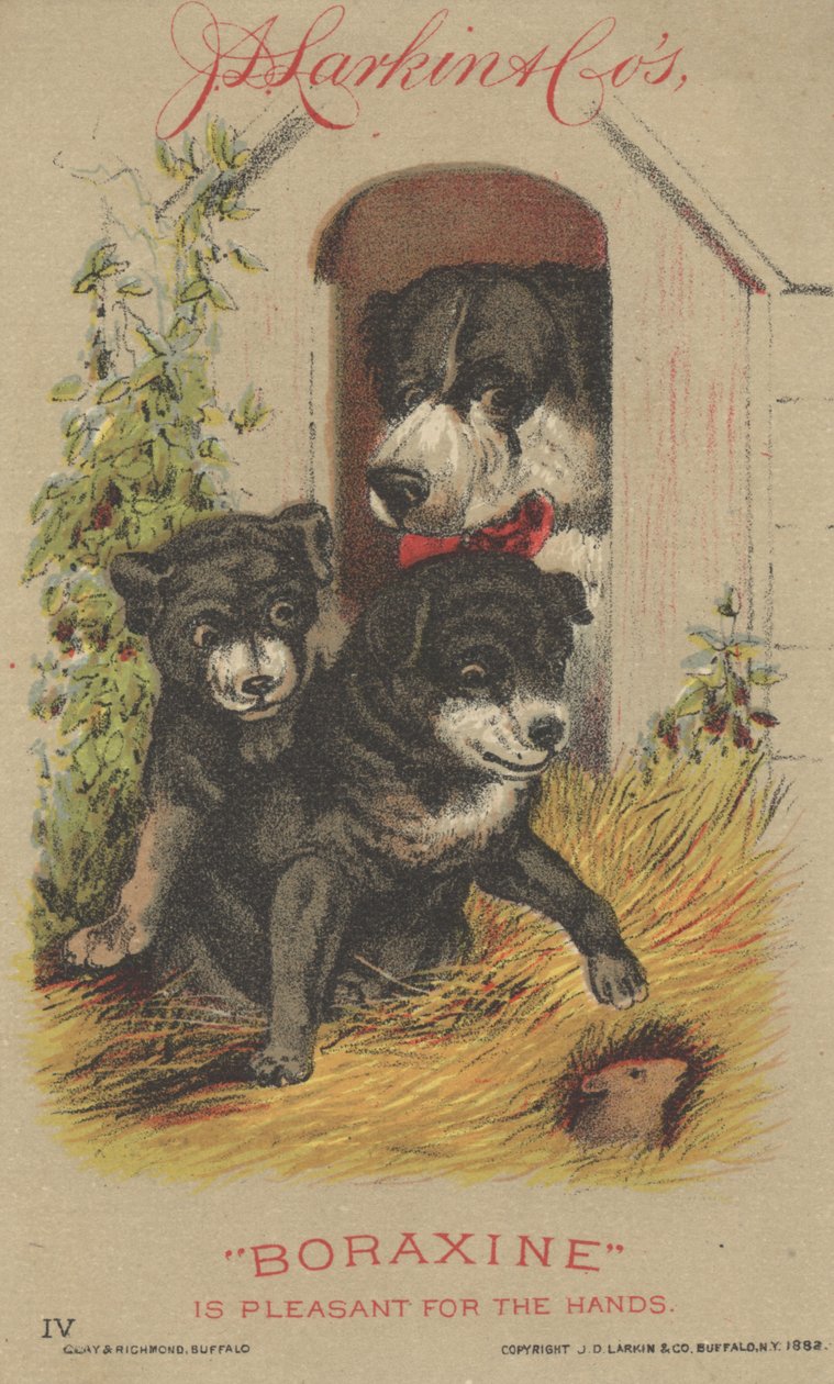 J. D. Larkinin ja Cos Boraxinen mainos, 1882 tekijältä American School