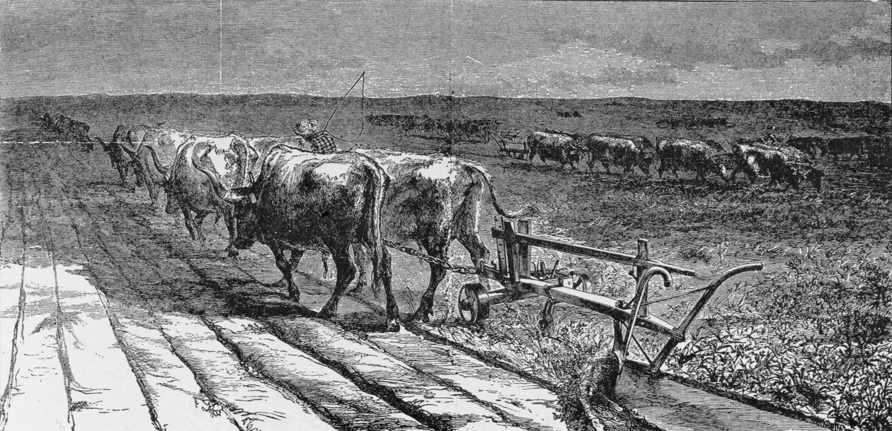 Breaking the Prairie, kuvitus "Harper