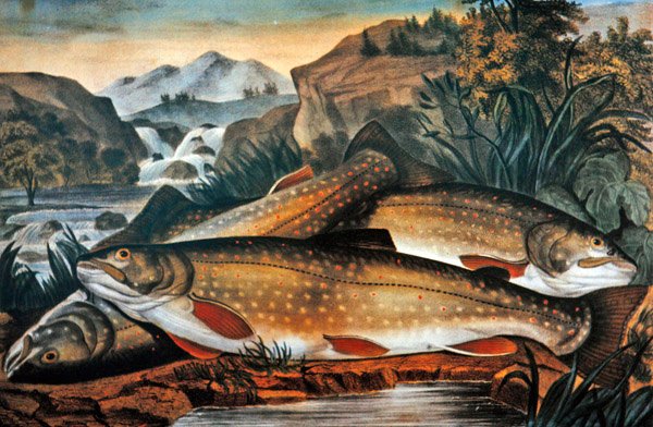 Brook Trout - Just Caught, julkaisija Currier & Ives, n. 1870 (väri litho) tekijältä American School
