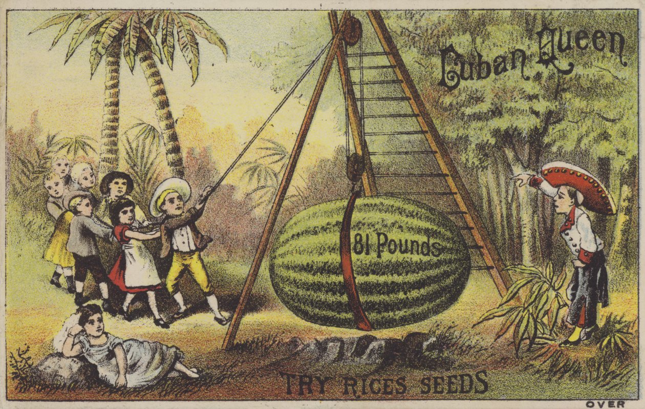 Lapset kasvattavat valtavaa vesimelonia (chromolitho). tekijältä American School