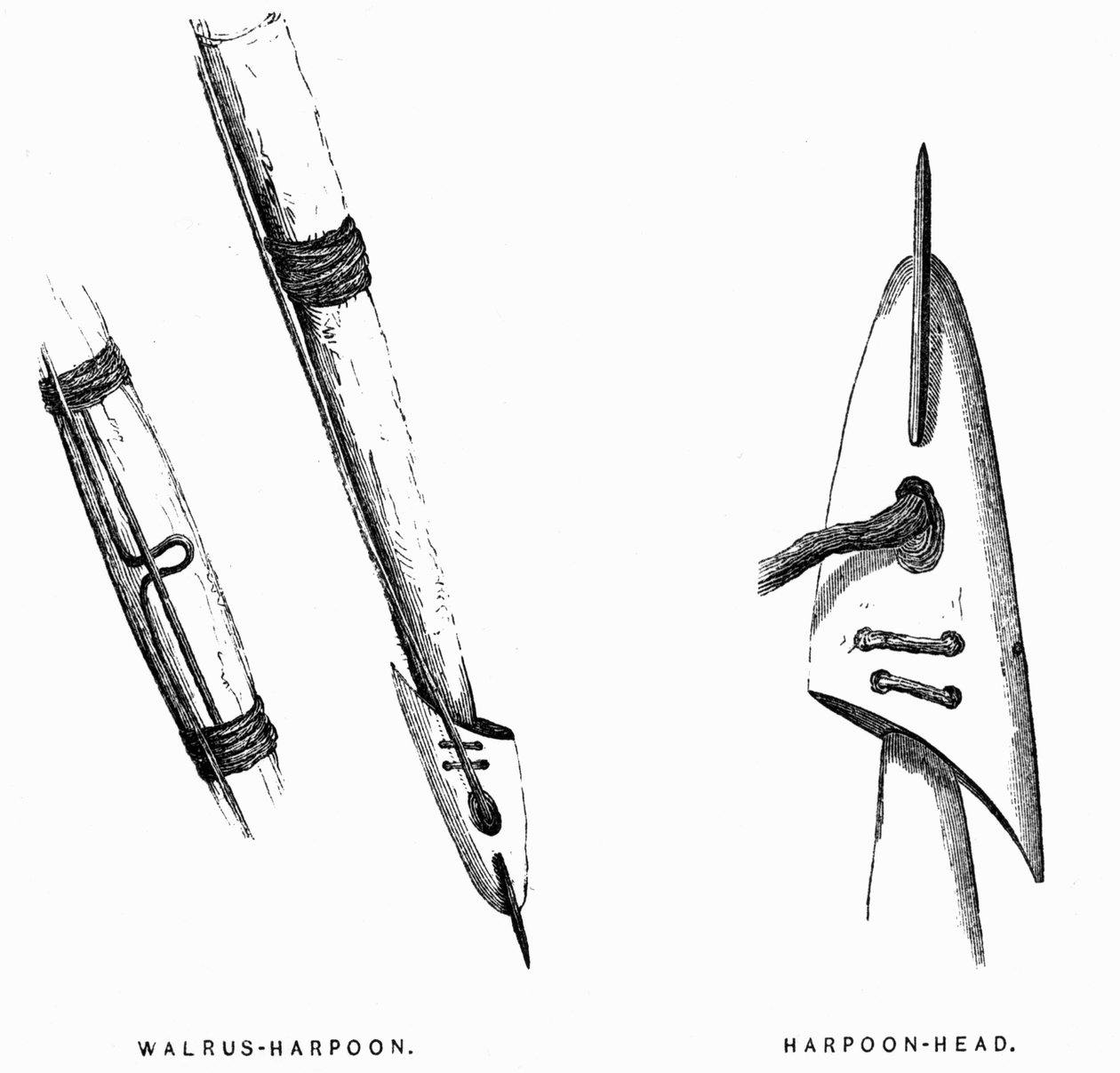 Eskimo-metsästystyökalut: Harppuunat - Elisha Kent Kane, Arctic Explorations in the Years 1853-1855, voi. 1, s. 412, Philadelphia tekijältä American School