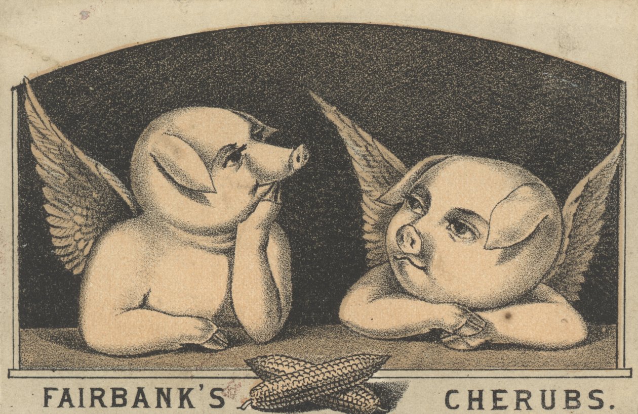 Fairbanks Cherubs, Fairbank Lardin mainos, n. 1880 tekijältä American School