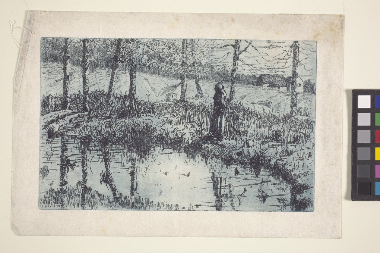 Girl By Pond (etsaus ja levysävy painettu sinisellä) tekijältä American School
